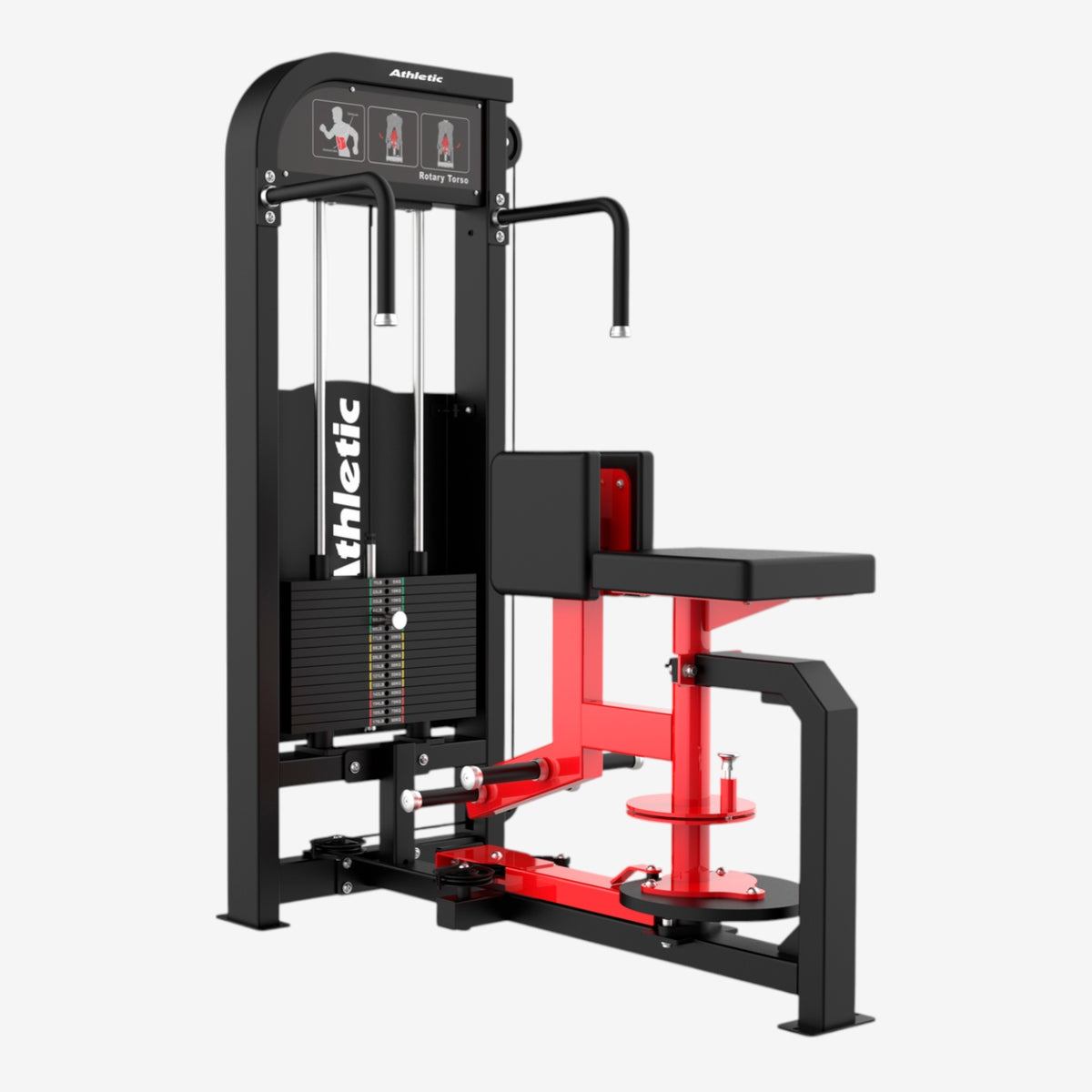 Rotary Torso - Dynamic Line