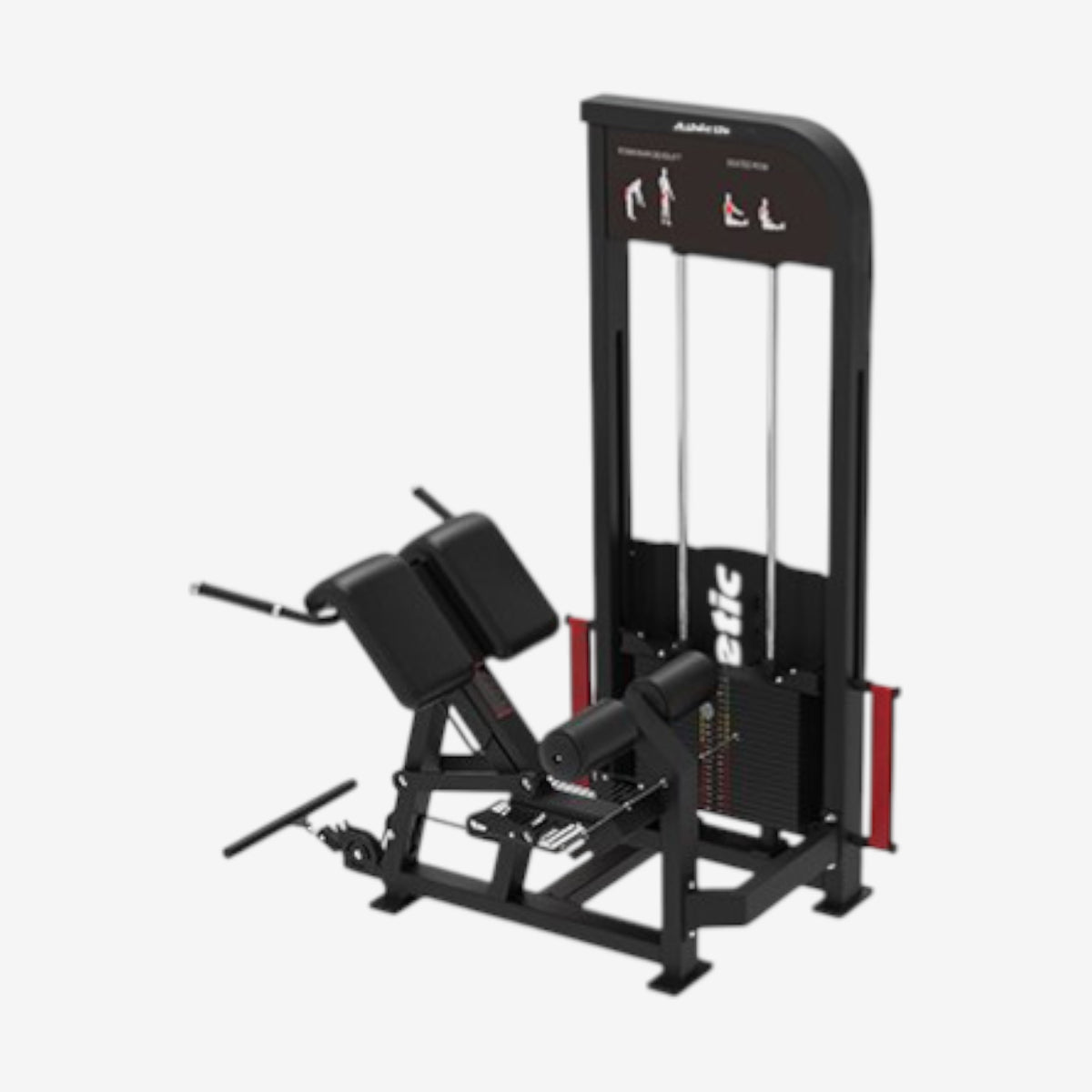 Power Back Extension - Pro-Sculpt Line