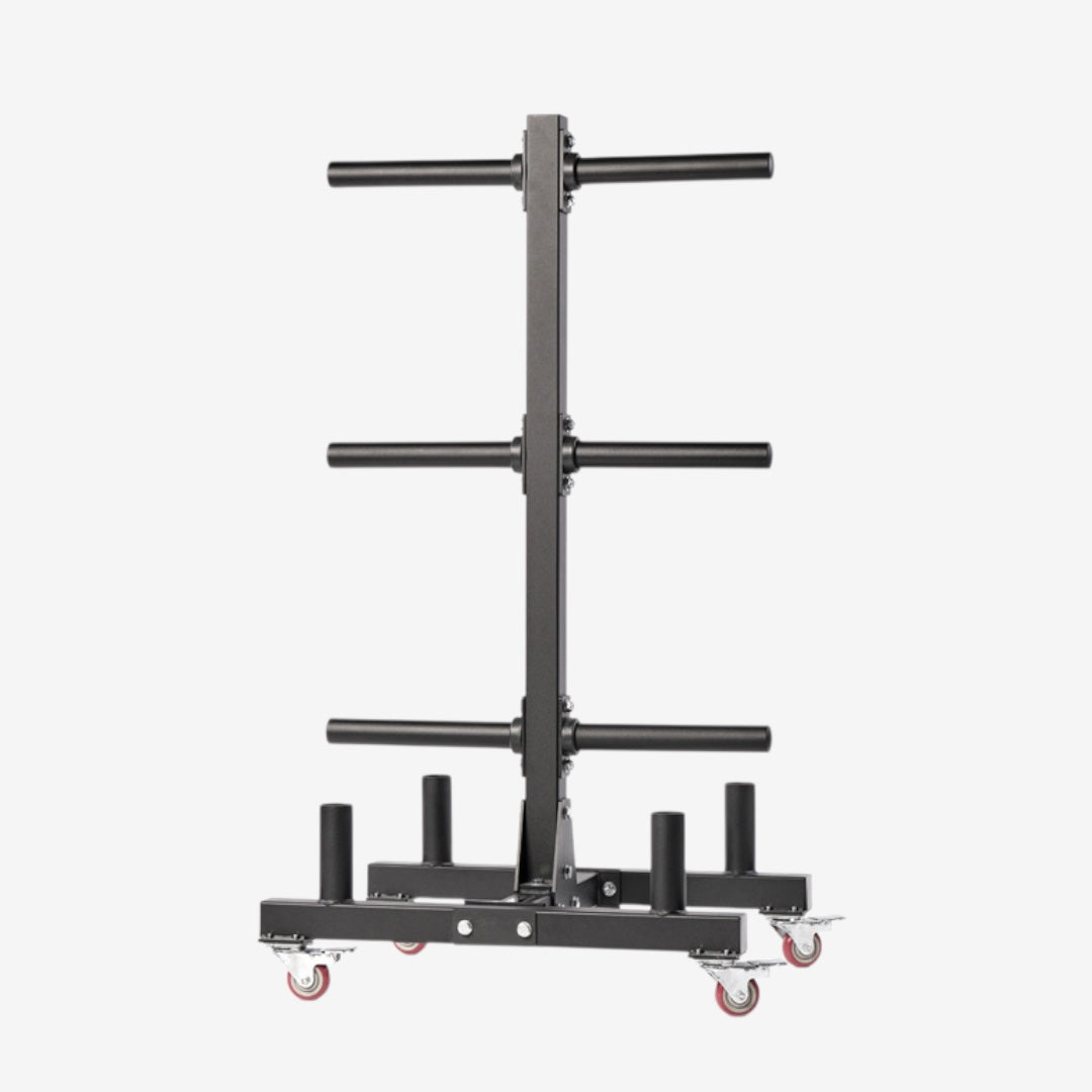 Rangement Bumper Plates